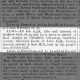 Newspaper Article